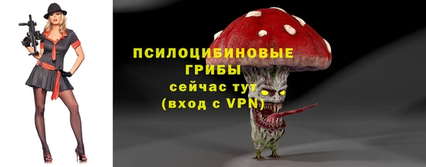 не бодяженный Алексин