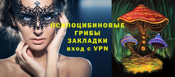 не бодяженный Алексин