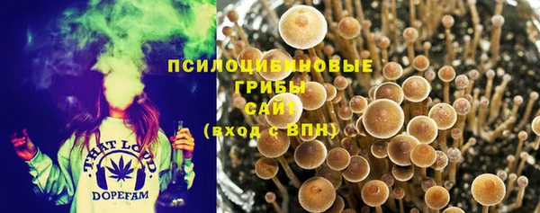 не бодяженный Алексин
